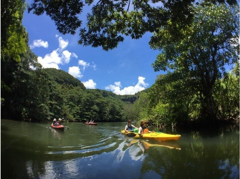 [Okinawa / Iriomote Island] Enjoy the great enjoyment of Iriomote Island. Pinaisara Falls & Yubu Island Buffalo Cart Sightseeing Copyの紹介画像