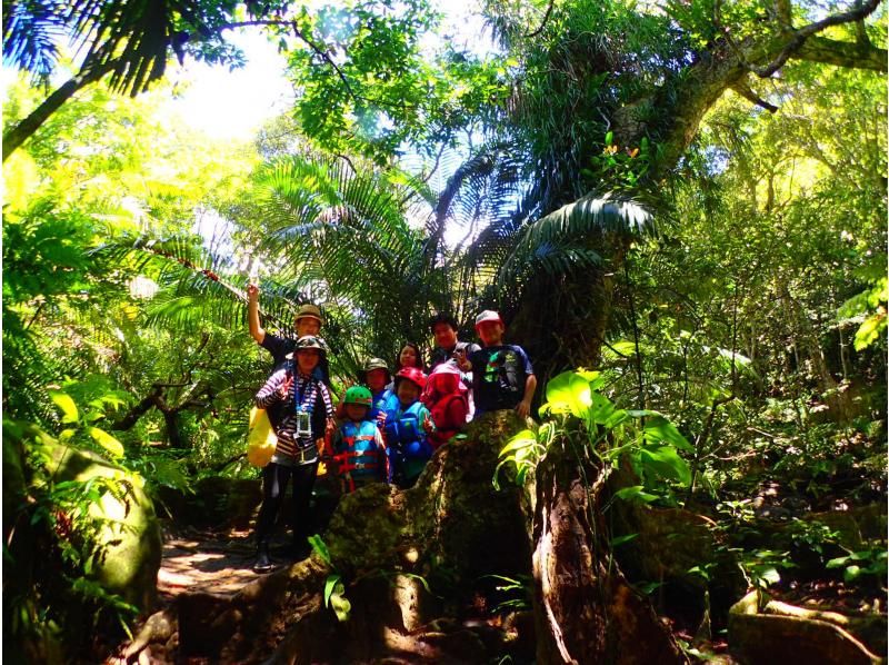 [Okinawa / Iriomote Island] Enjoy the great enjoyment of Iriomote Island. Pinaisara Falls & Yubu Island Buffalo Cart Sightseeing Copyの紹介画像