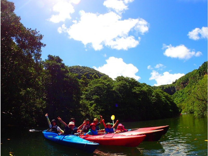 [Okinawa / Iriomote Island] Enjoy the great enjoyment of Iriomote Island. Pinaisara Falls & Yubu Island Buffalo Cart Sightseeing Copyの紹介画像