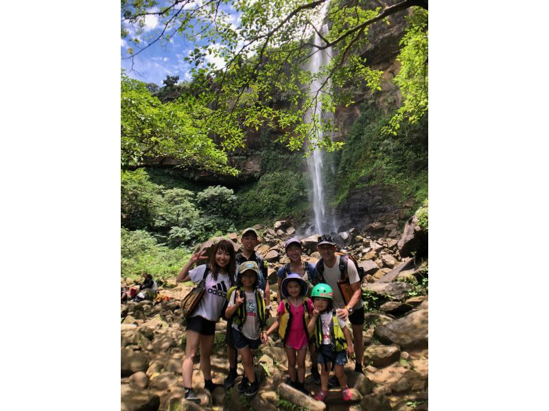 [Okinawa / Iriomote Island] Enjoy the great enjoyment of Iriomote Island. Pinaisara Falls & Yubu Island Buffalo Cart Sightseeing Copyの紹介画像