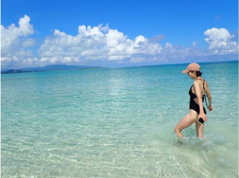 【沖縄・石垣島】半日体験ダイビング＆シュノーケリング！写真・動画プレゼント♪の紹介画像