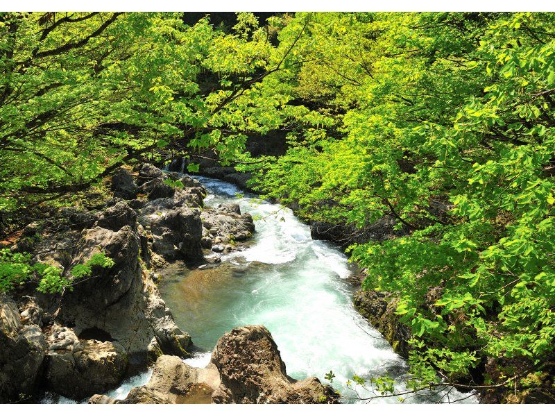 [Akita Prefecture, Hachimantai Town] Enjoy the blessings of Shirakami Mountains, take in the spectacular views, and experience soba-making with round-trip transportationの紹介画像