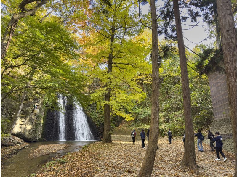 [Akita Prefecture, Hachimantai Town] Enjoy the blessings of Shirakami Mountains, take in the spectacular views, and experience soba-making with round-trip transportationの紹介画像