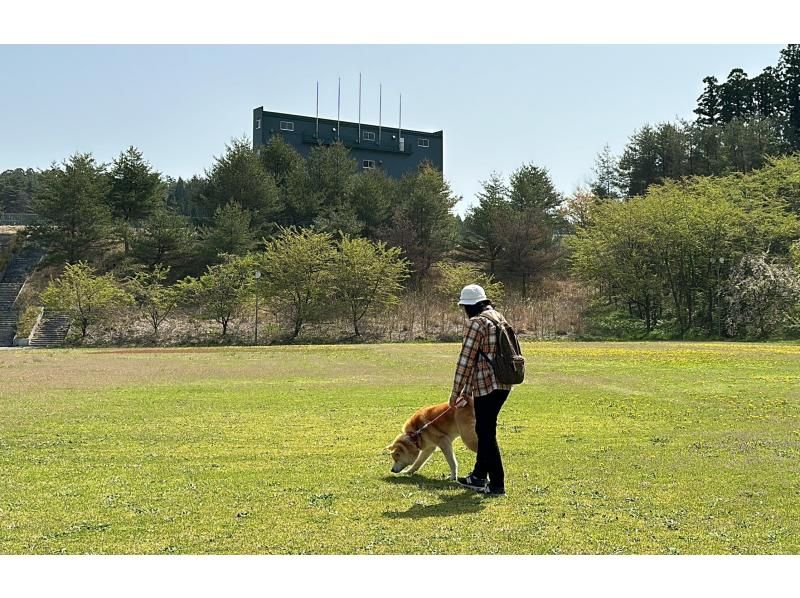 【秋田県・三種町】秋田犬と自然ウォーキング＆味噌つけたんぽつくり体験の紹介画像