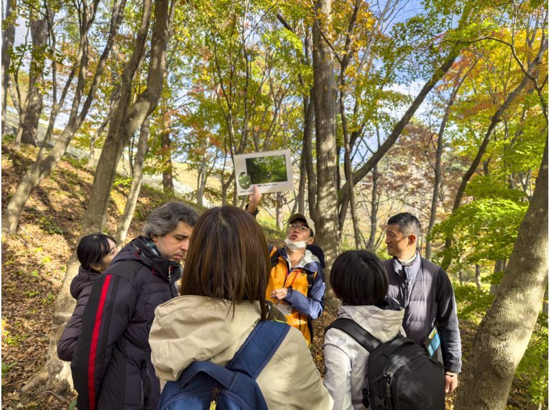 [Akita Prefecture, Mitane Town] Walking in nature with an Akita dog & making "Miso Tsukeritanpo"の紹介画像