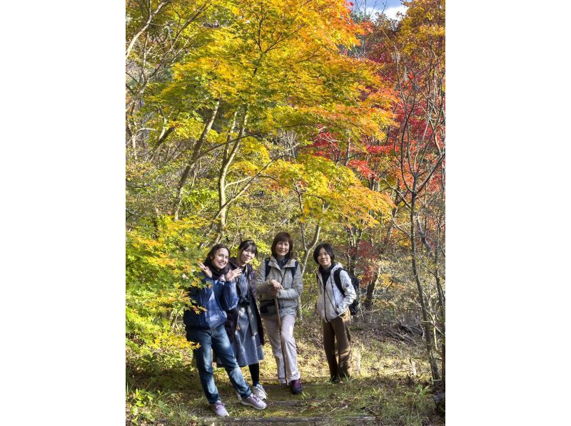 [Akita Prefecture, Mitane Town] Walking in nature with an Akita dog & making "Miso Tsukeritanpo"の紹介画像