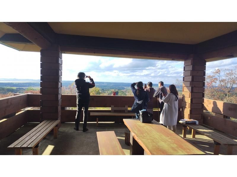 【아키타현・삼종초】아키타견과 자연 워킹＆「된장 츠케키리탄포」 만들기 체험の紹介画像