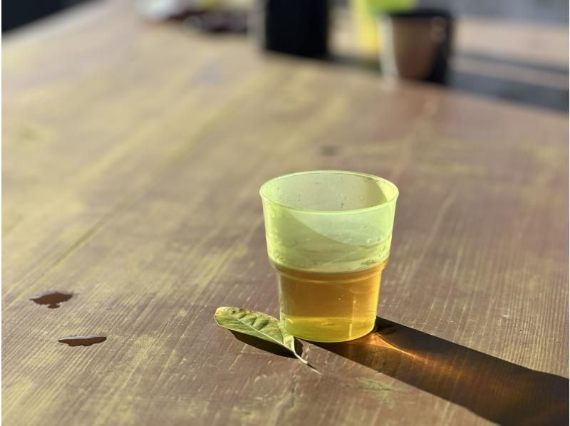 【아키타현・삼종초】아키타견과 자연 워킹＆「된장 츠케키리탄포」 만들기 체험の紹介画像