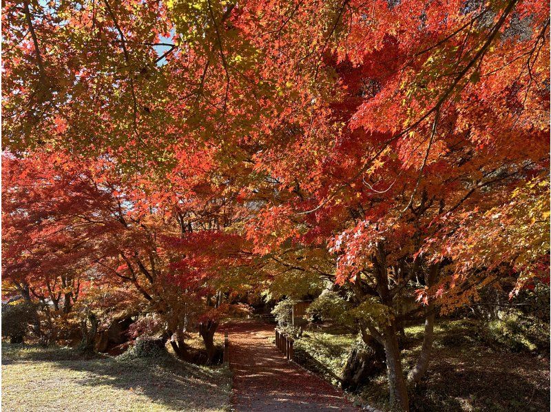 [Noshiro City, Akita Prefecture] Walking around Koibumi Village and experiencing the craftsmanship of Kumiko craftsmanshipの紹介画像