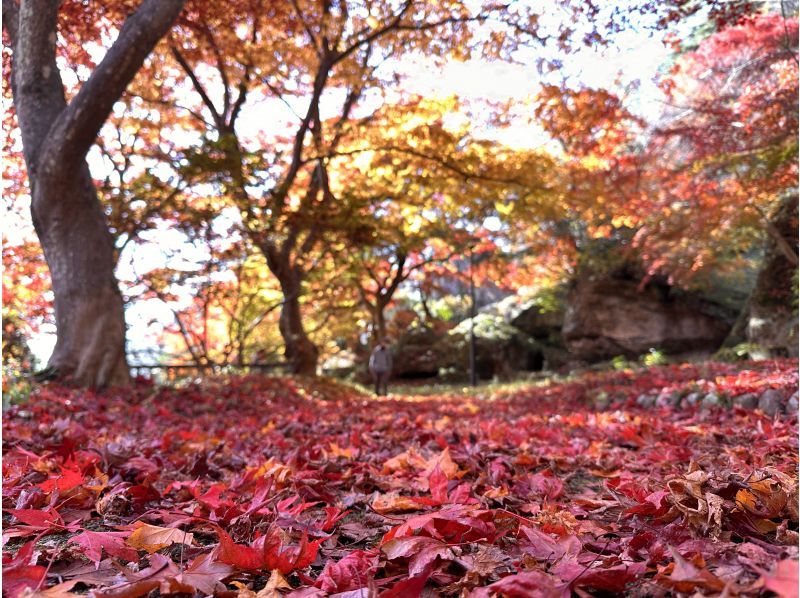 【秋田县能代市】漫步恋文村，体验久美子工艺の紹介画像