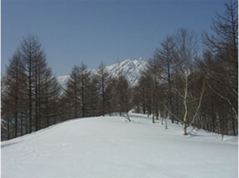 プライベートプラン【長野・大町市　スノーシュー・かんじき】冬しか見られない北ア山麓の美しさを満喫！1日コース　お一人様でも2名料金で参加可の紹介画像