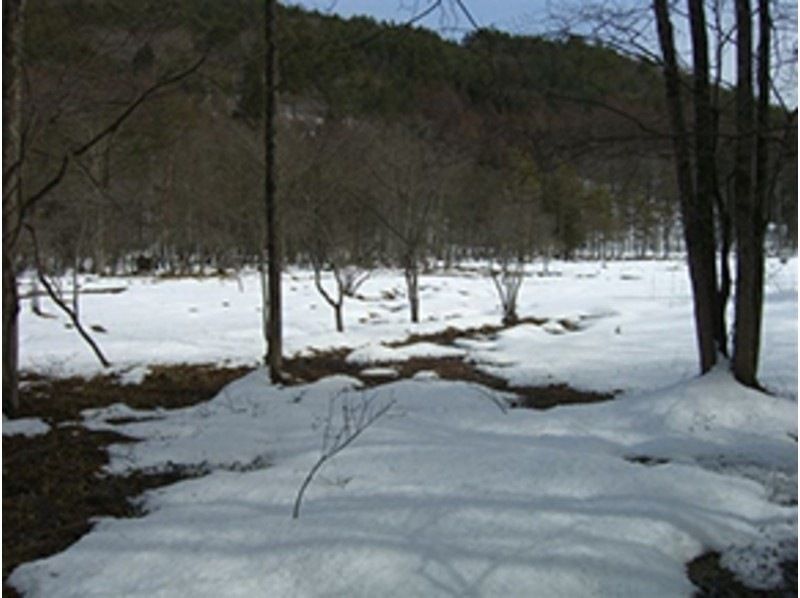 プライベートプラン【長野・大町市　スノーシュー・かんじき】冬しか見られない北ア山麓の美しさを満喫！1日コース　お一人様でも2名料金で参加可の紹介画像