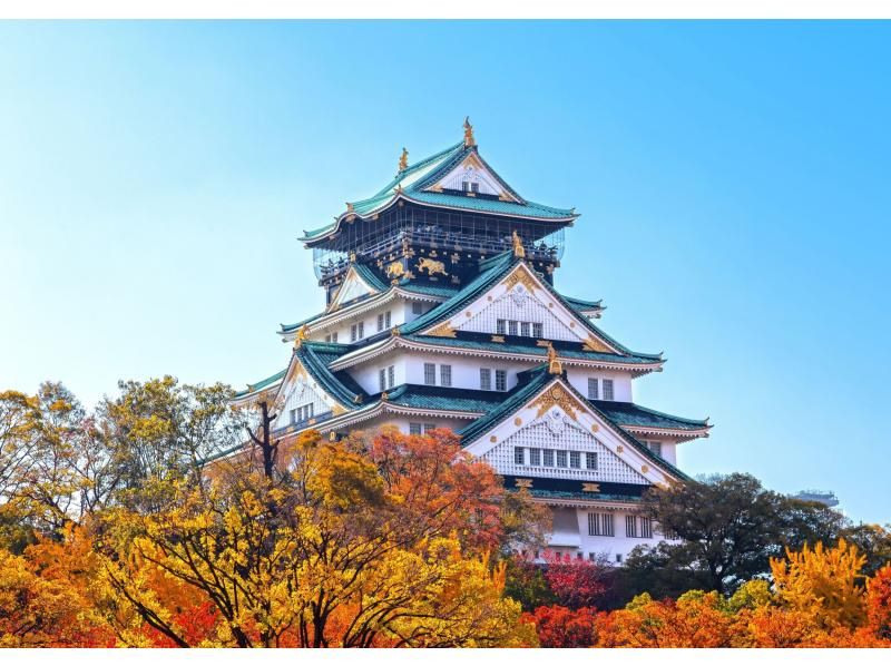 Matcha Making Osaka No1 Cooking Class in Japanの紹介画像