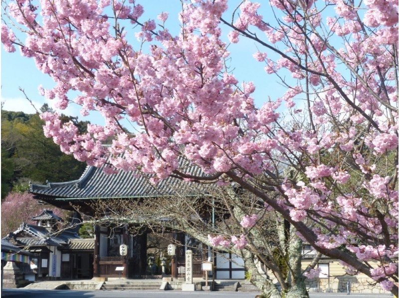 【滋賀・大津】びわ湖開き 湖上パレード＆石山寺クルーズツアーの紹介画像