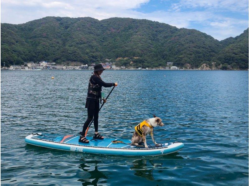 【若狭・常神半島】秋のチルSUPツアー《海面に映る空や紅葉のリフレクションを眺めよう！》の紹介画像