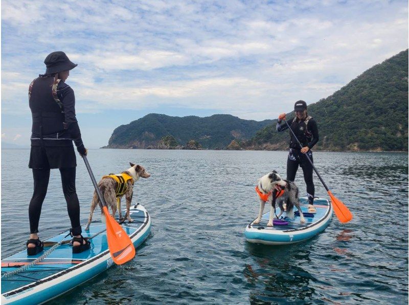 【若狭・常神半島】秋のチルSUPツアー《海面に映る空や紅葉のリフレクションを眺めよう！》の紹介画像