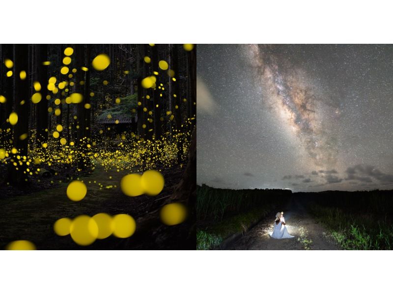 業界一お得‼︎【沖縄・石垣島】&rdquo;ヤエヤマヒメボタル観賞ツアー&rdquo;（小学生以下&yen;2,500・3歳以下無料・当日キャンセルOK）＋快晴時は星空観賞の紹介画像
