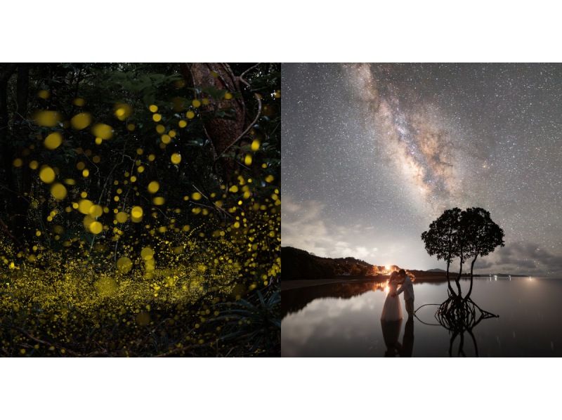 業界一お得‼︎【沖縄・石垣島】&rdquo;ヤエヤマヒメボタル観賞ツアー&rdquo;（小学生以下&yen;2,500・3歳以下無料・当日キャンセルOK）＋快晴時は星空観賞の紹介画像