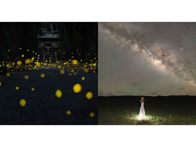 業界一お得‼︎【沖縄・石垣島】&rdquo;ヤエヤマヒメボタル観賞ツアー&rdquo;（小学生以下&yen;2,500・3歳以下無料・当日キャンセルOK）＋快晴時は星空観賞の紹介画像