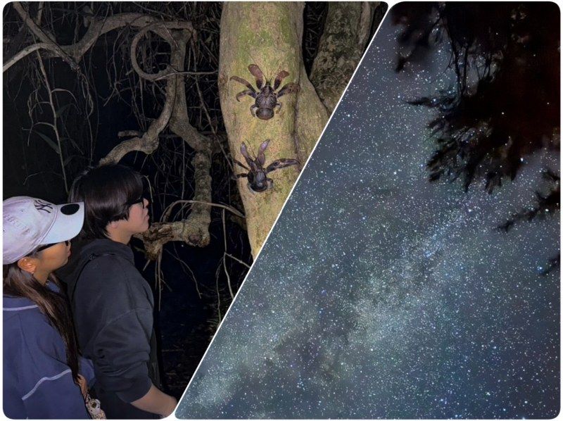 [Miyakojima/Pickup available] ★Same-day reservations accepted★ [Very popular with children! Tropical starry sky x jungle night tour] ☆100% chance of encountering coconut crabs☆Starry sky photography available☆の紹介画像