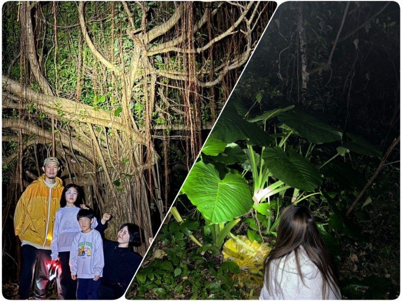 [Miyakojima/Pickup available] ★Same-day reservations accepted★ [Very popular with children! Tropical starry sky x jungle night tour] ☆100% chance of encountering coconut crabs☆Starry sky photography available☆の紹介画像