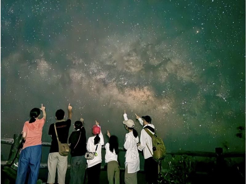 【宮古島/可接送】★可當天預約★【深受孩子們喜愛!熱帶星空×叢林夜遊】☆100%邂逅椰子蟹☆也可拍攝星空☆の紹介画像