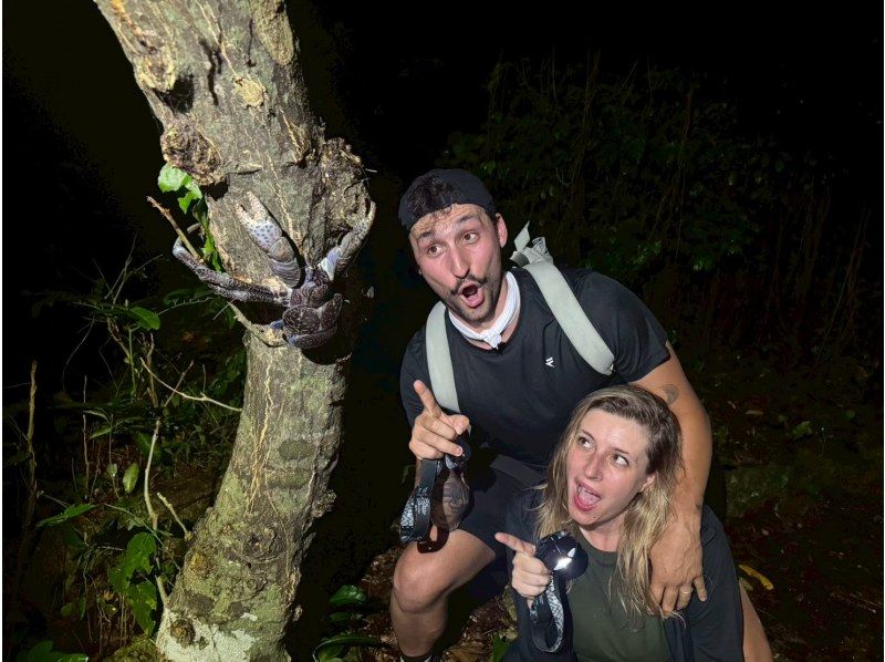 [Miyakojima/Pickup available] ★Same-day reservations accepted★ [Very popular with children! Tropical starry sky x jungle night tour] ☆100% chance of encountering coconut crabs☆Starry sky photography available☆の紹介画像