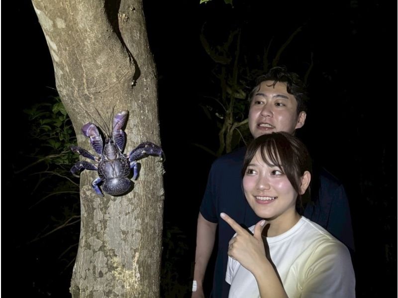【宮古島/可接送】★可當天預約★【深受孩子們喜愛!熱帶星空×叢林夜遊】☆100%邂逅椰子蟹☆也可拍攝星空☆の紹介画像