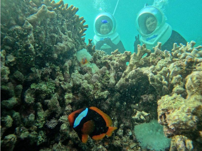 《Underwater walk in Ishigaki Island!》 Sea walker by boat, your face won't get wet, safe even if you can't swim, recommended for women too! (Free photo data)の紹介画像