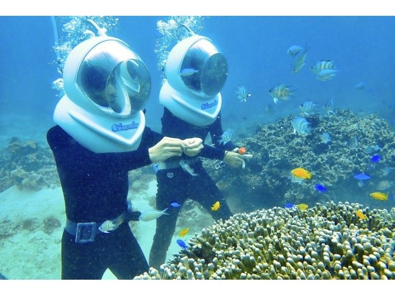 《Underwater walk in Ishigaki Island!》 Sea walker by boat, your face won't get wet, safe even if you can't swim, recommended for women too! (Free photo data)の紹介画像