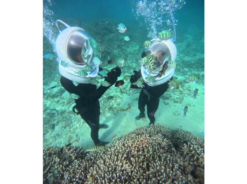 《Underwater walk in Ishigaki Island!》 Sea walker by boat, your face won't get wet, safe even if you can't swim, recommended for women too! (Free pick-up and drop-off & photo data gift)の紹介画像