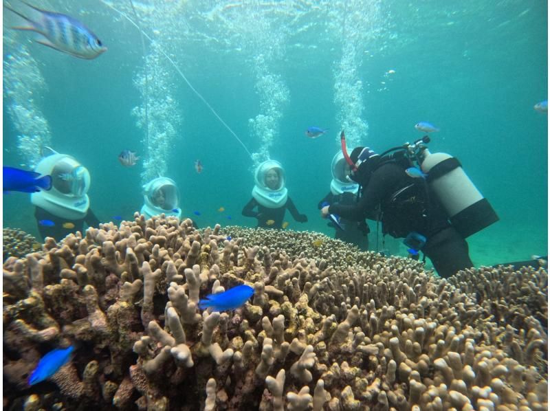 《石垣島で海中散歩！》ボートで行くシーウォーカー、顔が濡れない、泳げなくても安心、女性にもおすすめ！(写真データ無料プレゼント)の紹介画像