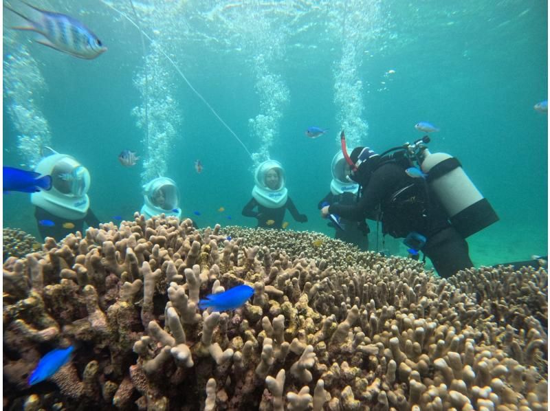 《Underwater walk in Ishigaki Island!》 Sea walker by boat, your face won't get wet, safe even if you can't swim, recommended for women too! (Free pick-up and drop-off & photo data gift)の紹介画像