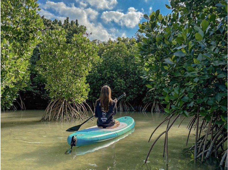 [Miyakojima/Pick-up available] ★Grand opening sale★ [Irabujima Mangrove SUP Tour] ★Reservations the day before or on the day are welcome★の紹介画像