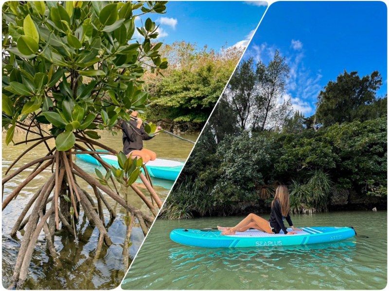 [Miyakojima/Pick-up available] ★Grand opening sale★ [Irabujima Mangrove SUP Tour] ★Reservations the day before or on the day are welcome★の紹介画像