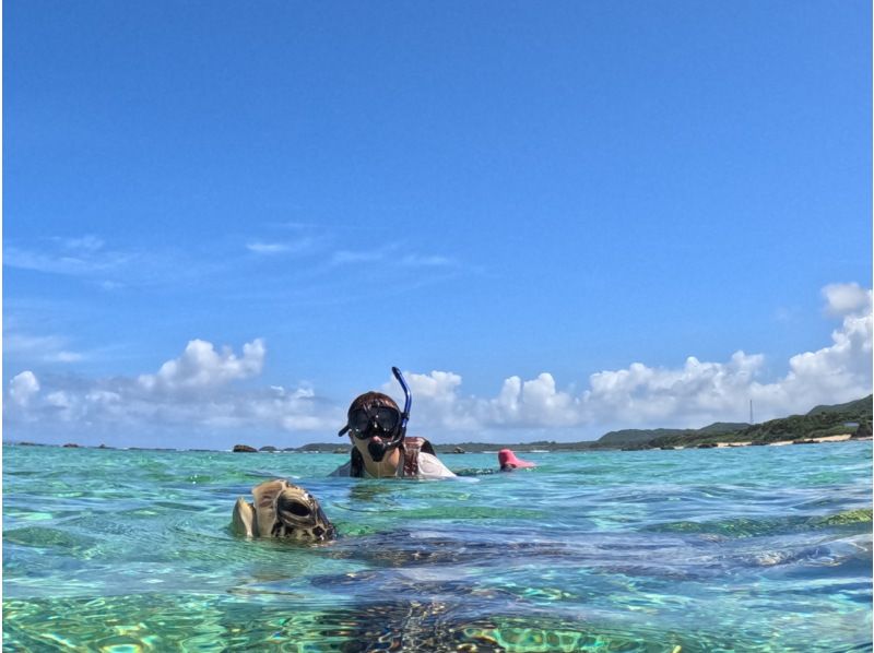 【奄美・北部】少人数制ツアー、おひとりご参加OK！女性ガイドが案内する 半日ビーチシュノーケリング（送迎付き）の紹介画像