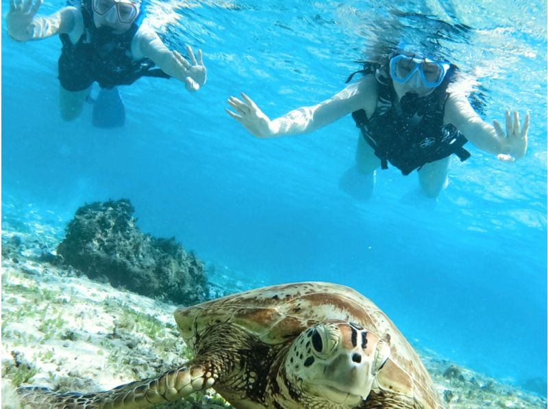 【奄美・北部】少人数制ツアー、おひとりご参加OK！女性ガイドが案内する 半日ビーチシュノーケリング（送迎付き）の紹介画像