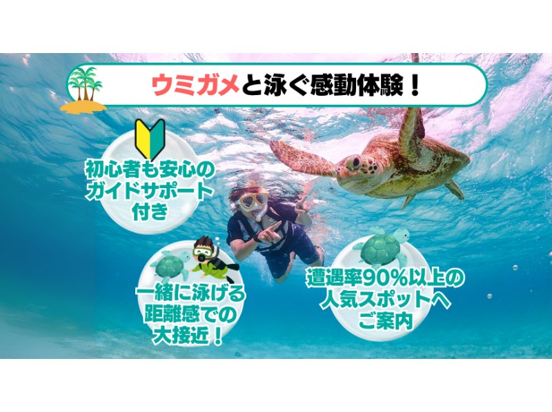 【石垣島・3時間】幻の島上陸＆ウミガメorマンタに会える！泳げなくてもOK♪サポート充実シュノーケル【GoPro無料】_s01の紹介画像