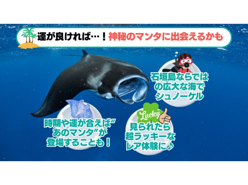 【石垣島・3時間】幻の島上陸＆ウミガメorマンタに会える！泳げなくてもOK♪サポート充実シュノーケル【GoPro無料】_s01の紹介画像