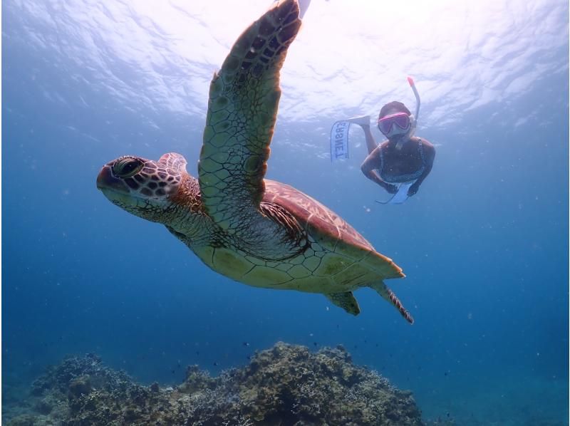 【沖縄・石垣島】【GoPro無料レンタルあり】ウミガメorマンタと泳ぐ！幻の島上陸シュノーケリング【午前・午後の2便／無料送迎＆写真付き】