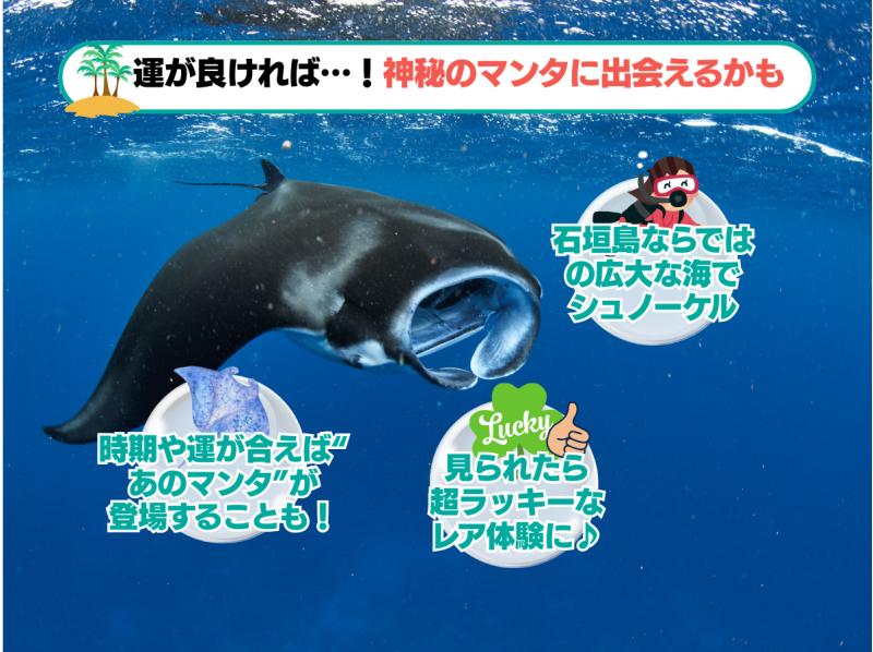 【学割でお得】幻の島上陸＆ウミガメorマンタに会える！泳げなくてもOK♪サポート充実シュノーケル【GoPro無料】_s01の紹介画像