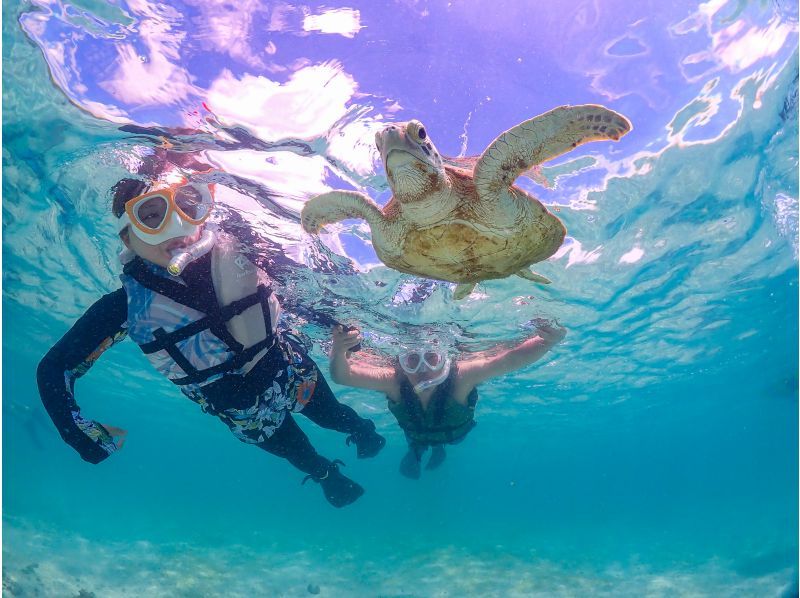【沖縄・石垣島】【GoPro無料レンタルあり】ウミガメorマンタと泳ぐ！幻の島上陸シュノーケリング【午前・午後の2便／無料送迎＆写真付き】