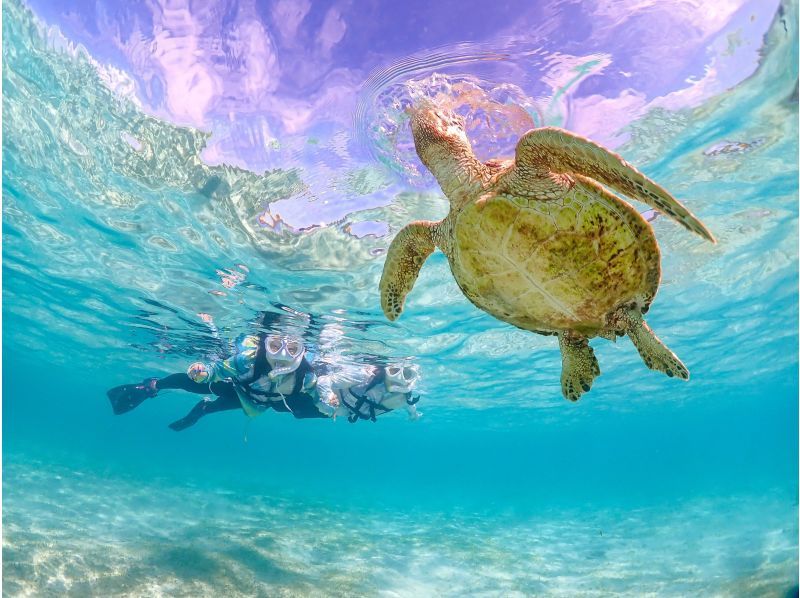 【石垣島・3時間】幻の島上陸＆ウミガメorマンタに会える！泳げなくてもOK♪サポート充実シュノーケル【GoPro無料】_s01の紹介画像