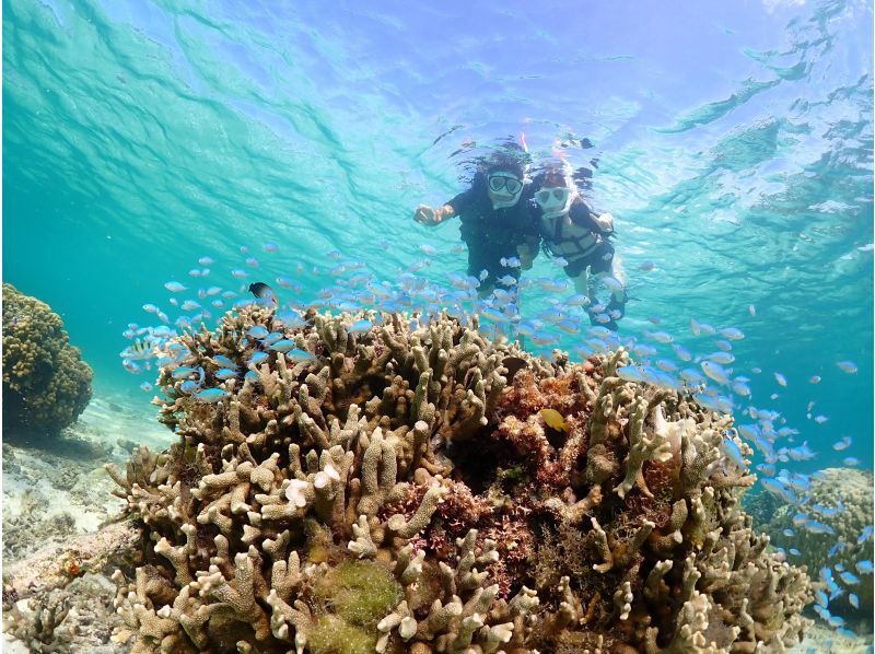 【石垣島・3時間】幻の島上陸＆ウミガメorマンタに会える！泳げなくてもOK♪サポート充実シュノーケル【GoPro無料】_s01の紹介画像