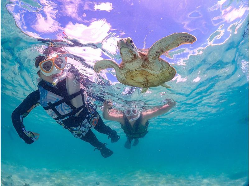 【学割でお得】幻の島上陸＆ウミガメorマンタに会える！泳げなくてもOK♪サポート充実シュノーケル【GoPro無料】_s01の紹介画像