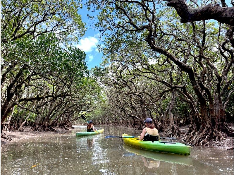 【鹿児島・奄美】北部〜名瀬エリア送迎可能！ “1組貸切ツアー” 女性ガイドが案内する ビーチシュノーケリング＆マングローブカヤックの紹介画像