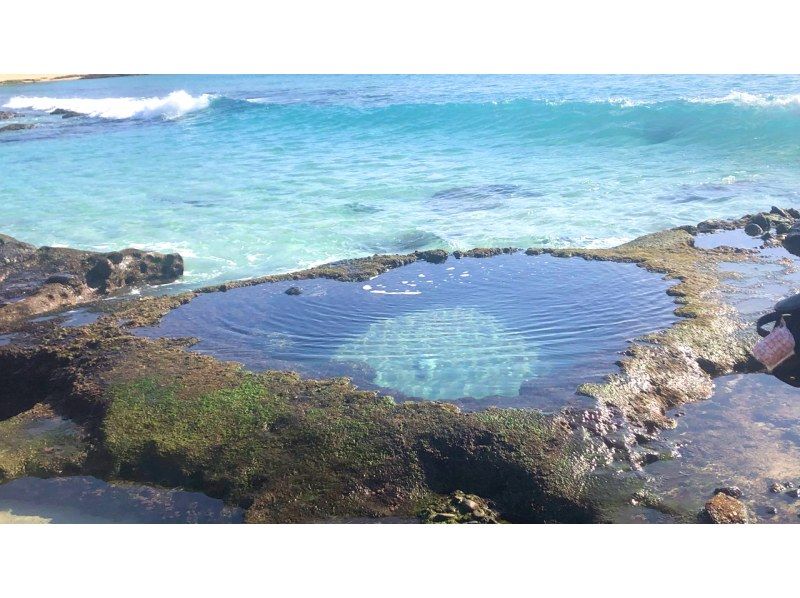 【鹿児島・奄美】1名様から参加可能の1組貸切！女性ガイドが案内する 半日ネイチャーヒーリングツアー（送迎付き）の紹介画像