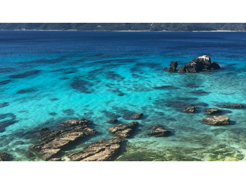 【鹿児島・奄美】1名様から参加可能の1組貸切！女性ガイドが案内する 半日ネイチャーヒーリングツアー（送迎付き）の紹介画像