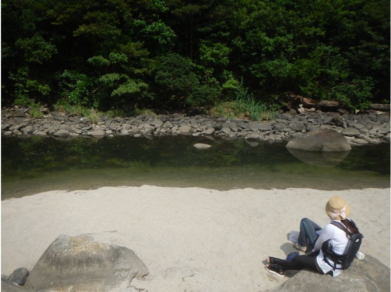 【鹿児島・屋久島】安房川リバーサップ☆初心者・お一人様OK！半日コース（午前/午後）の紹介画像