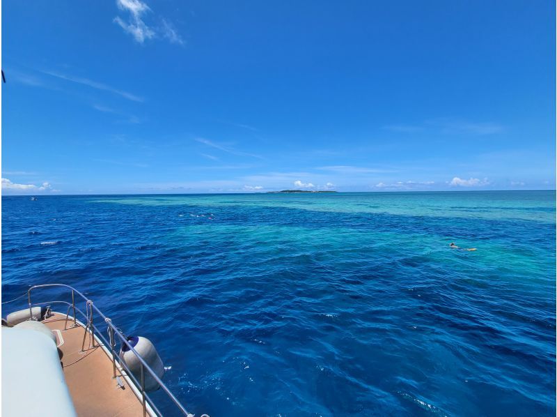 [Okinawa, Ishigaki Island] 13:30 boat trip! Coral and sea turtle snorkeling ♪ Let's go to a spectacular coral reef spot to look for sea turtles!の紹介画像